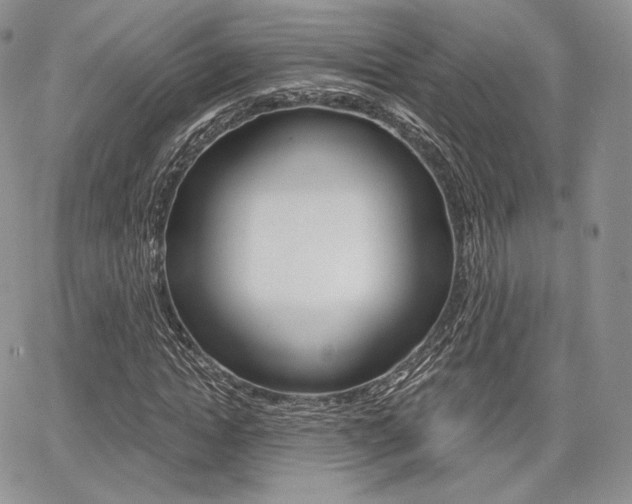 X0000068280822200604210913