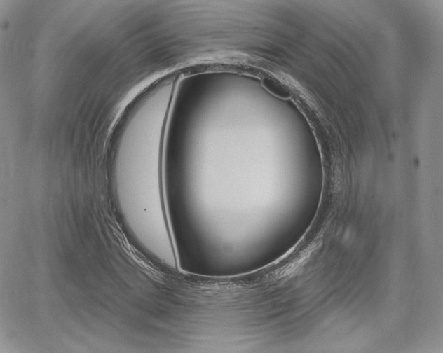 X0000068280830200604210914