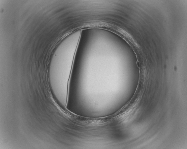 X0000068280841200604210914