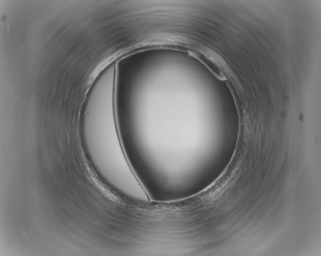 X0000068280842200604210914