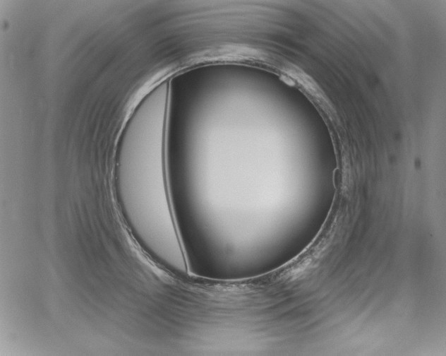X0000068280850200604210914