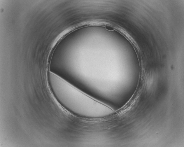 X0000068280853200604210914
