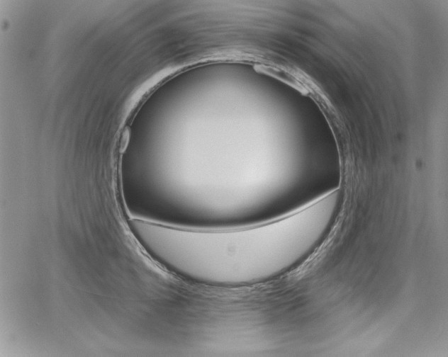 X0000068280854200604210914