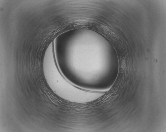 X0000068280868200604210913