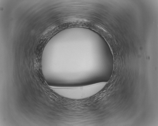 X0000068280869200604210913