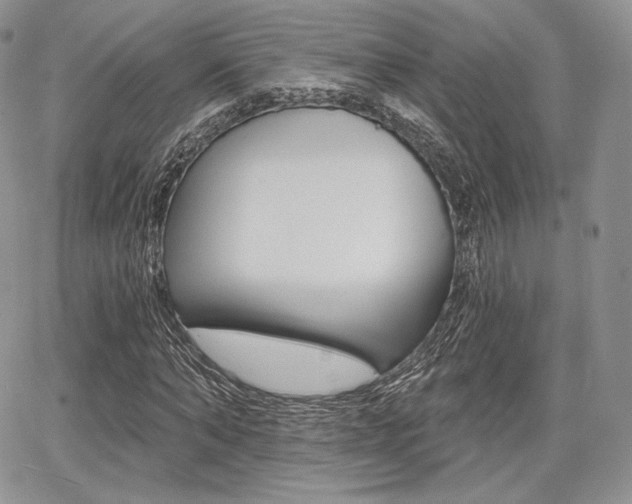 X0000068280870200604210913