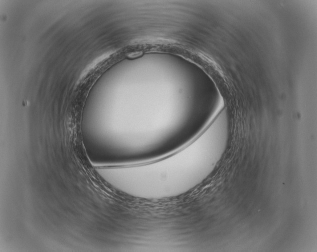 X0000068280872200604210913