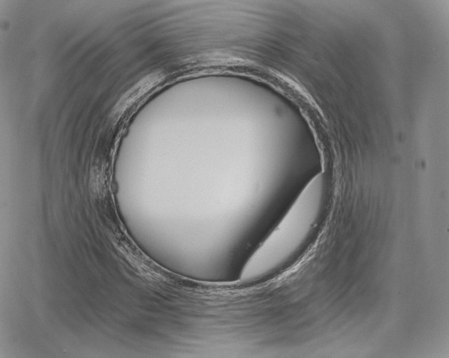 X0000068280873200604210913