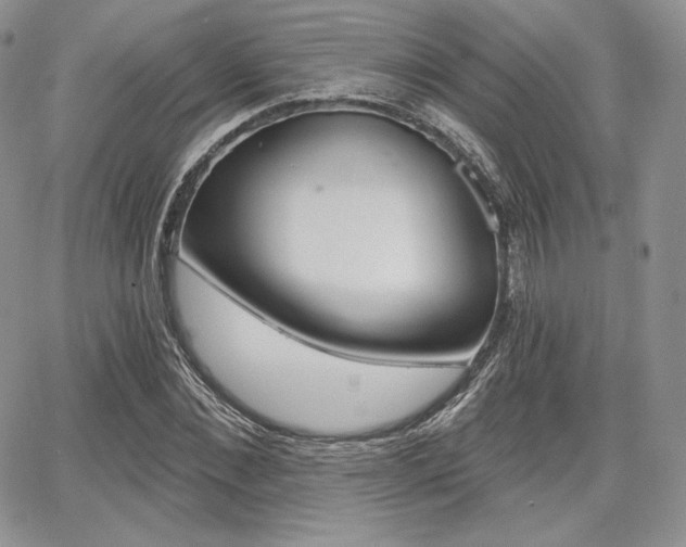 X0000068280876200604210913