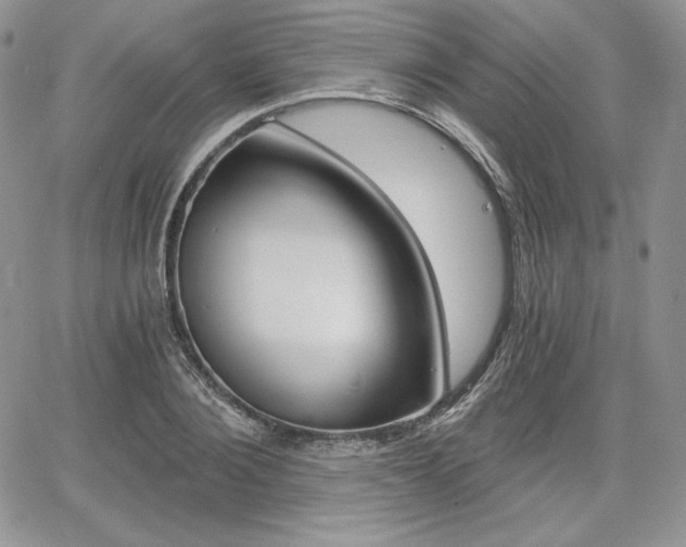 X0000068280884200604210913