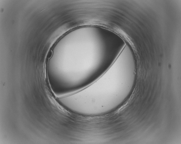X0000068280892200604210913