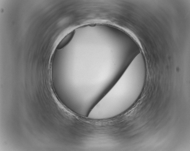 X0000068280911200604210913