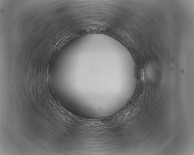X0000068280915200604210912