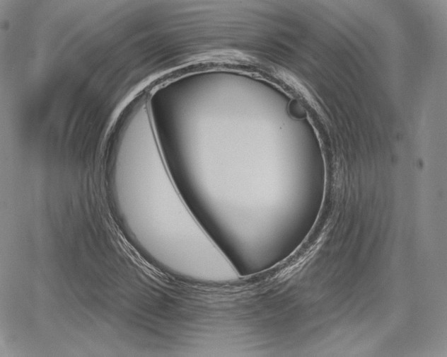 X0000068280923200604210912