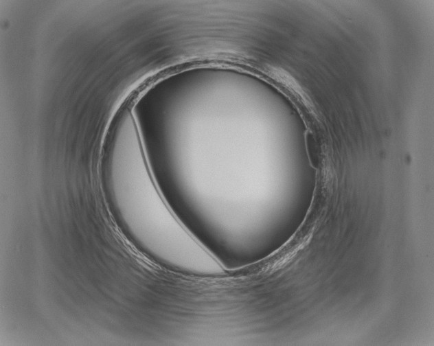 X0000068280924200604210912