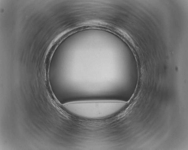 X0000068280931200604210912