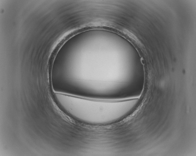 X0000068280934200604210912