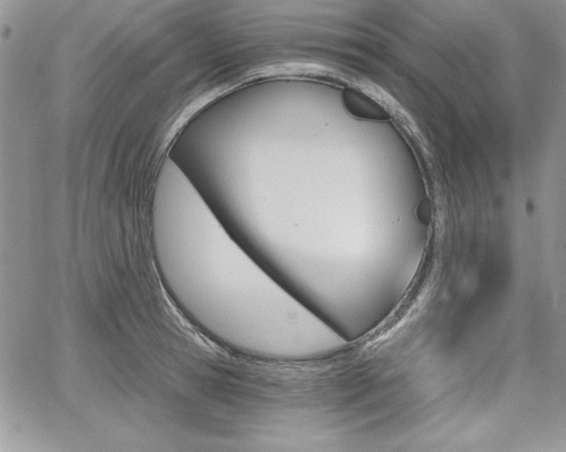 X0000068280945200604210912
