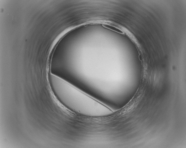 X0000068280955200604210912