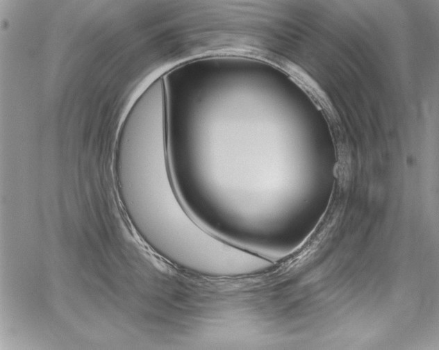 X0000068280956200604210913