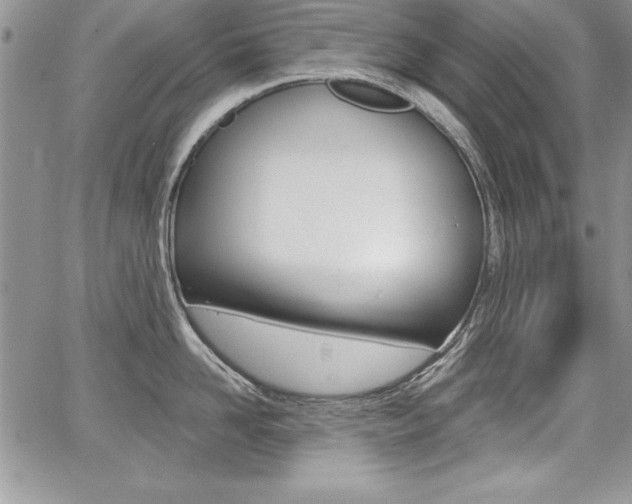 X0000068280958200604210913