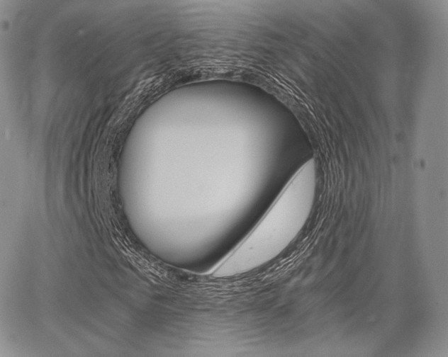 X0000068280961200604210912