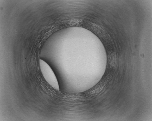 X0000068280962200604210912