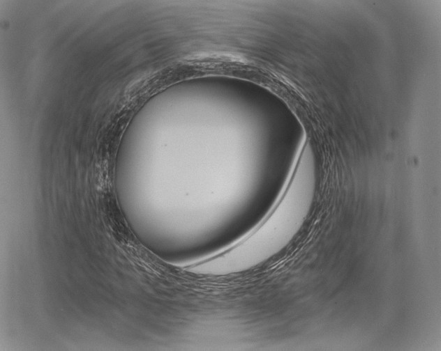X0000068280965200604210912