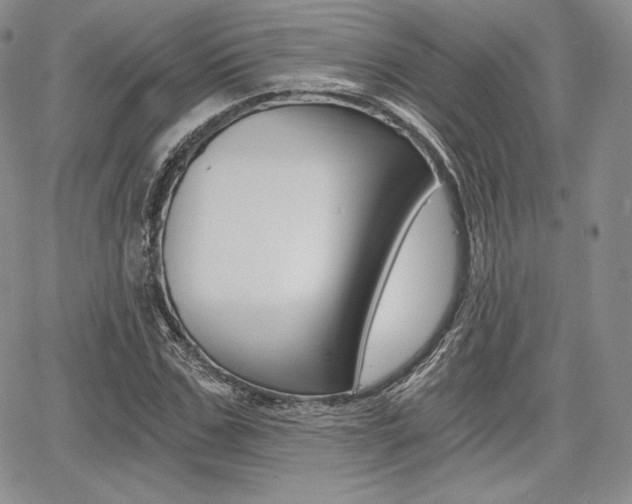 X0000068280971200604210912