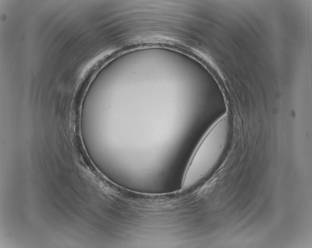 X0000068280979200604210912