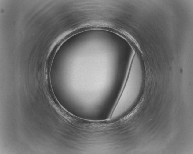 X0000068280981200604210911