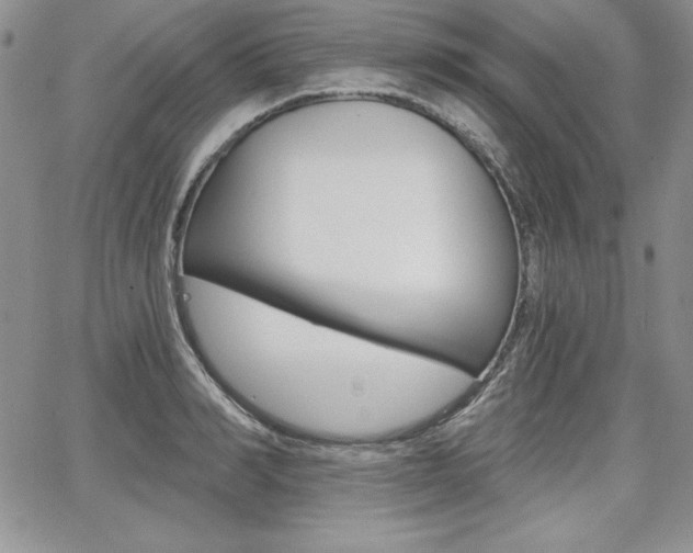 X0000068280990200604210911