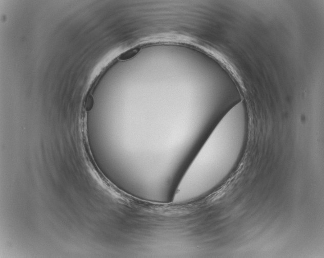 X0000068280998200604210911