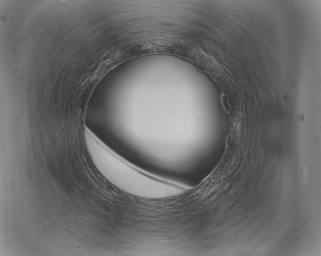 X0000068281012200604210910