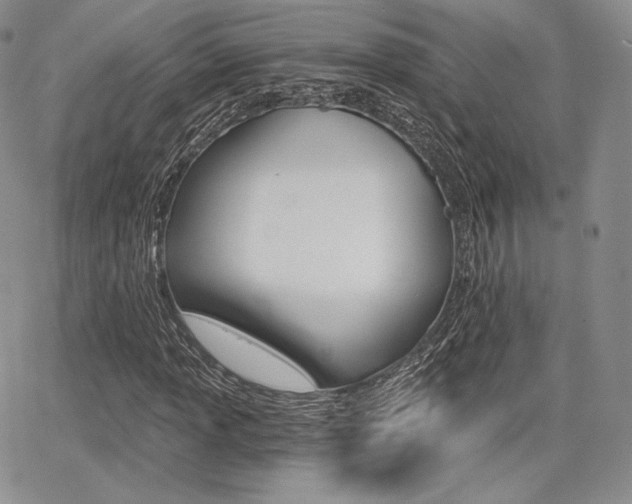 X0000068281013200604210910