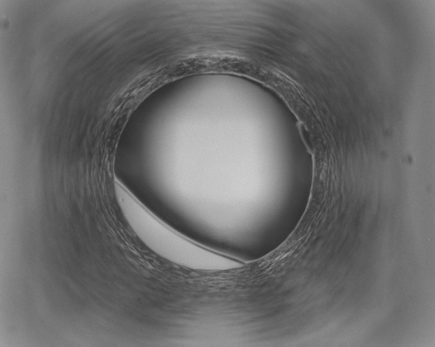 X0000068281014200604210910