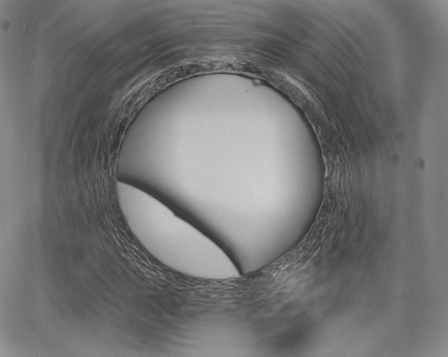 X0000068281015200604210910
