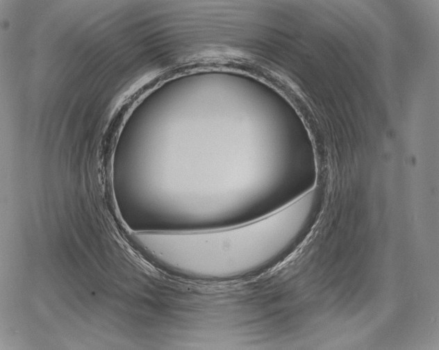 X0000068281018200604210910