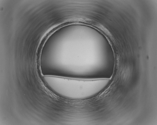 X0000068281020200604210910
