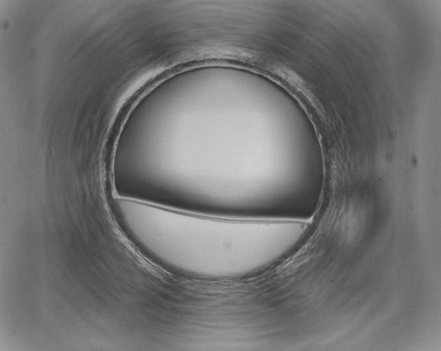 X0000068281024200604210910