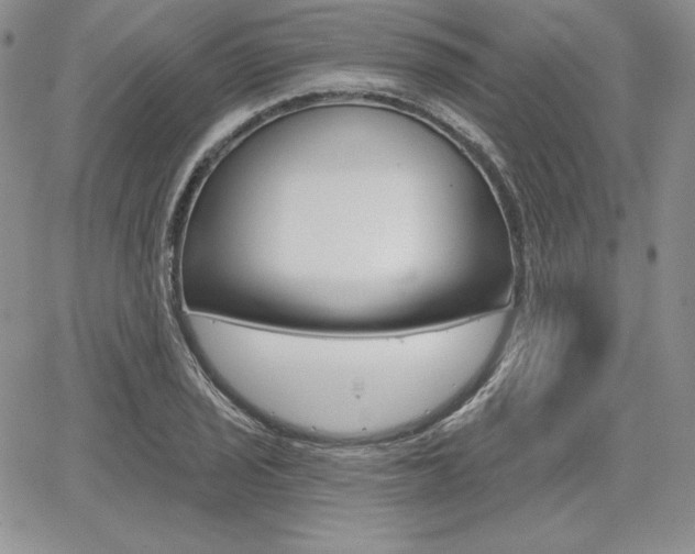 X0000068281029200604210911