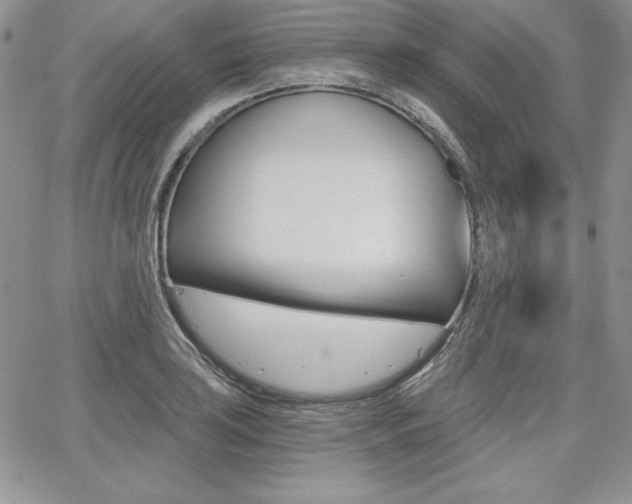 X0000068281035200604210911
