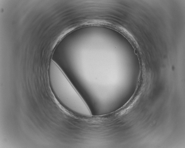 X0000068281041200604210911