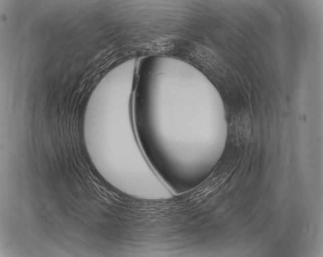 X0000068281058200604210910