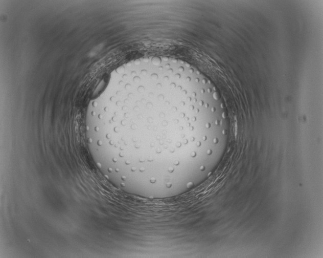 X0000068281059200604210910