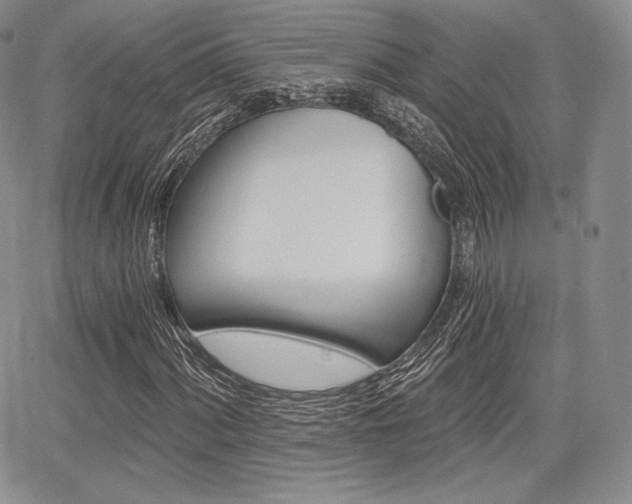 X0000068281060200604210910