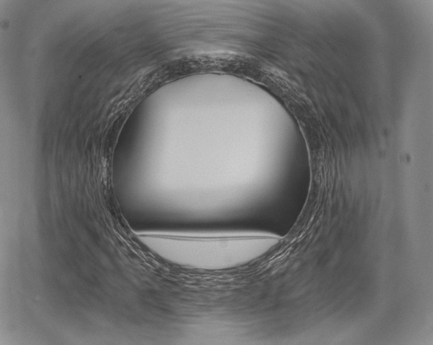 X0000068281061200604210910