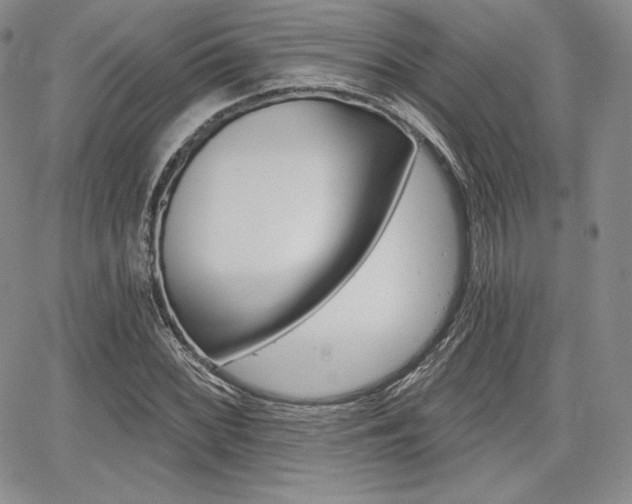 X0000068281068200604210910