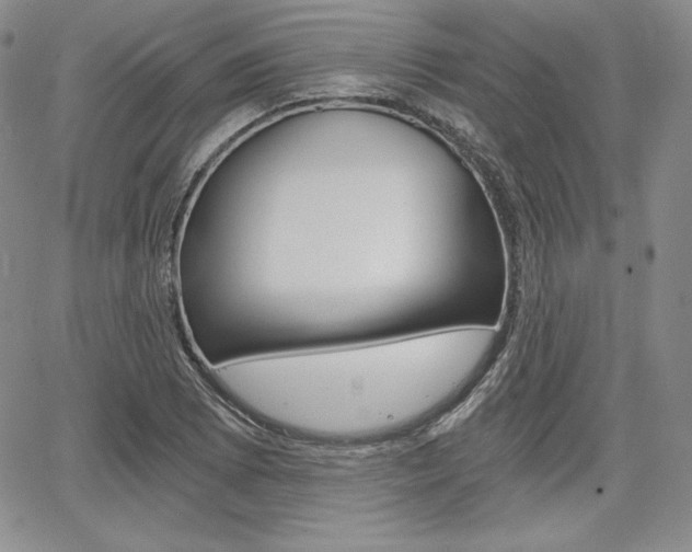 X0000068281073200604210910