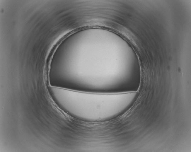 X0000068281076200604210910